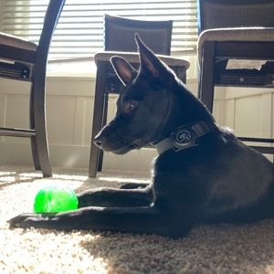 Meet your Posher, Manny